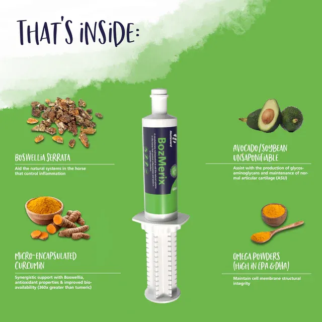 Hestevard BozMerix Paste image 3