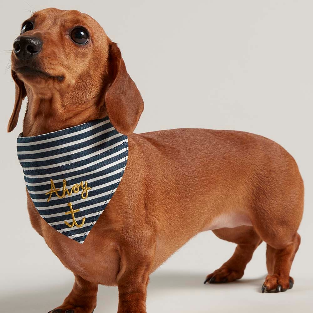 Joules Nautical Collar &amp; Neckerchief image 1