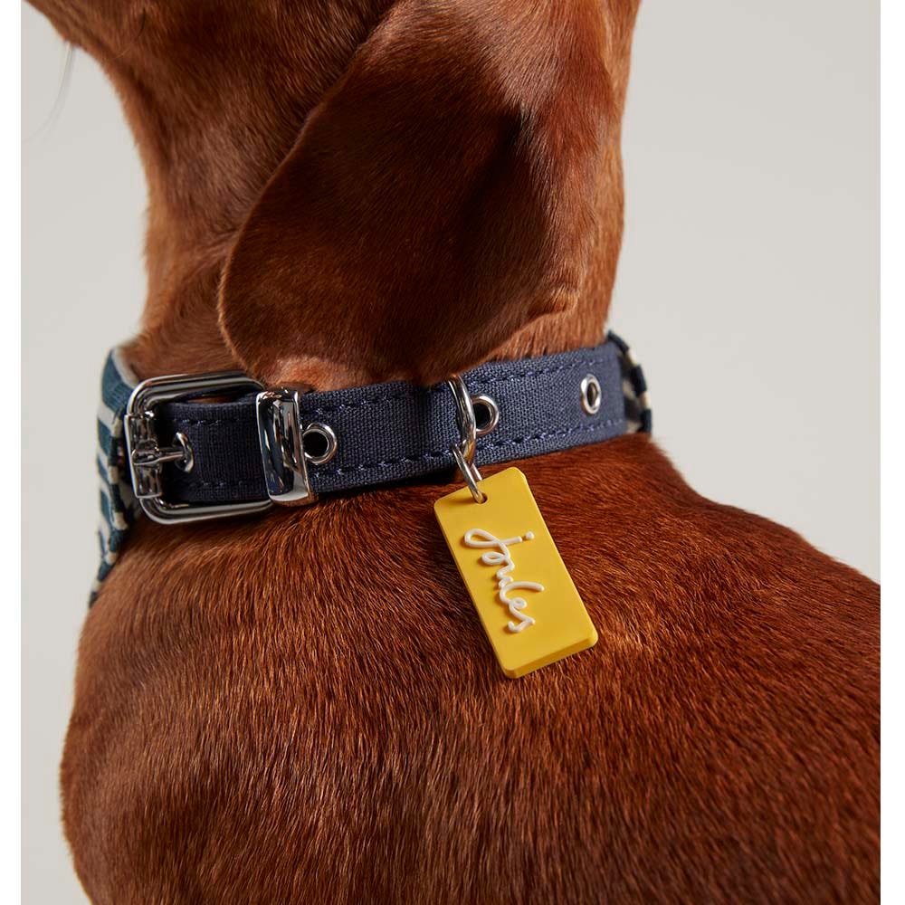 Joules Nautical Collar &amp; Neckerchief image 2