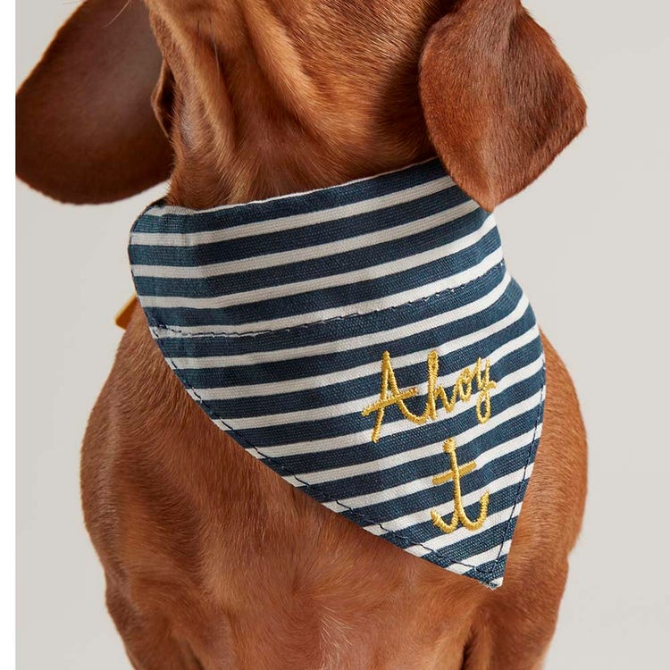 Joules Nautical Collar &amp; Neckerchief image 3