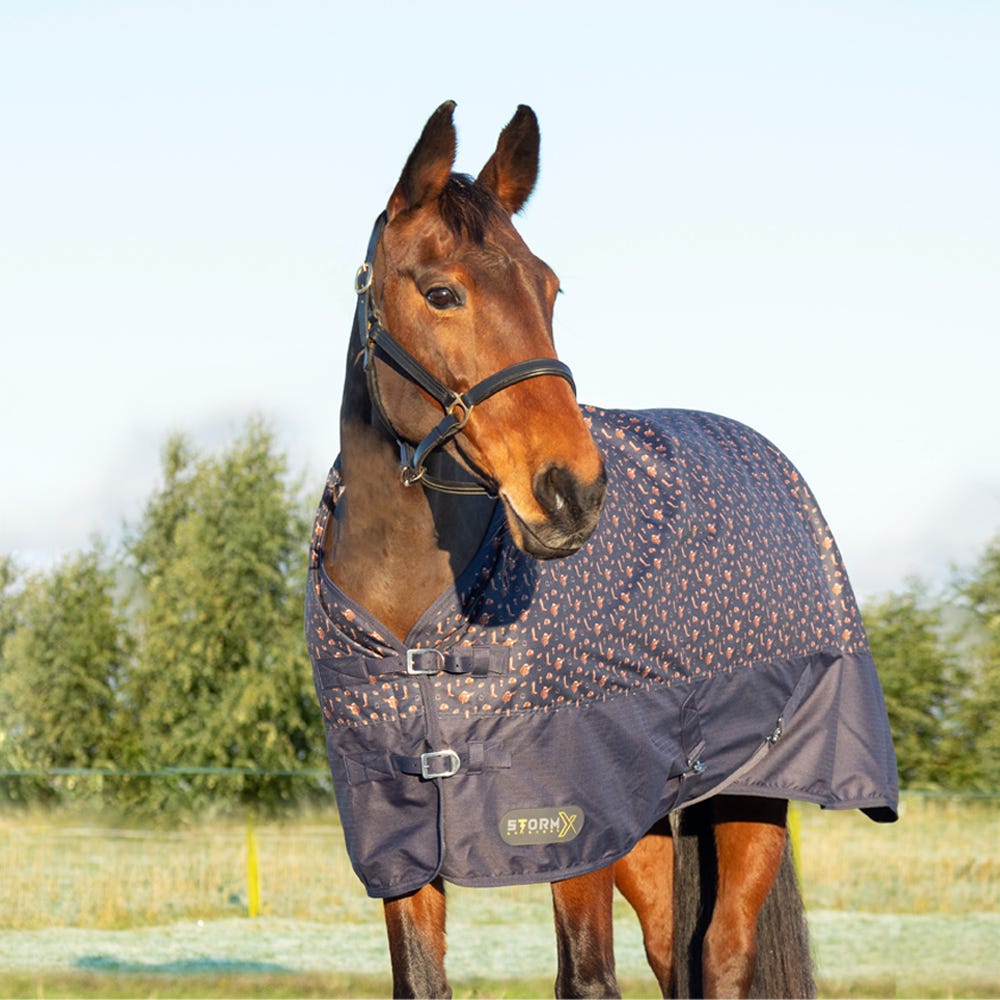 StormX Original Country 100 Turnout Rug image 2