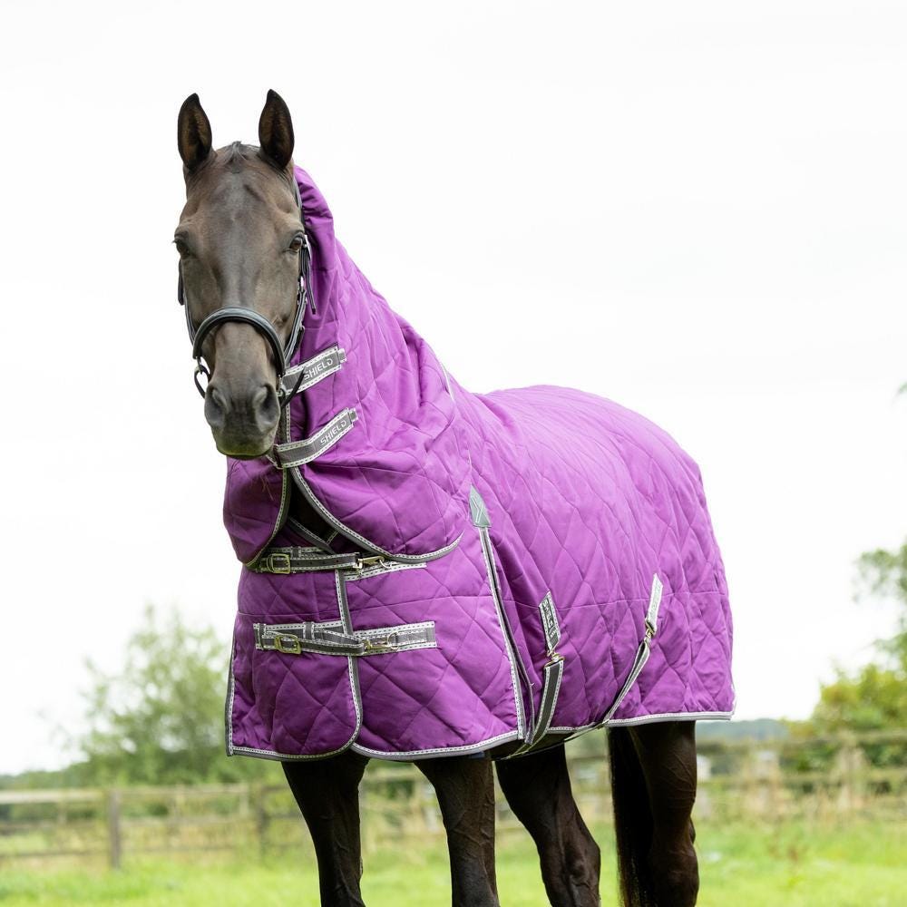 DefenceX Shield 100g Stable Rug with Detachable Neck image 1