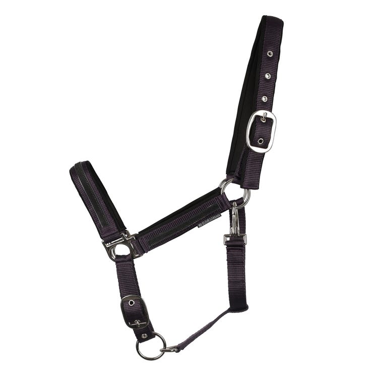 Hy Equestrian Mystic Head Collar image 1