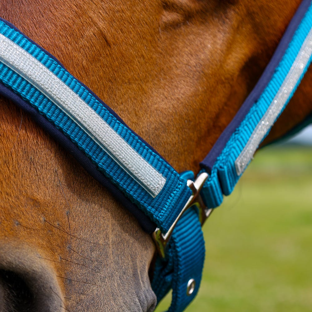 Hy Equestrian Mystic Head Collar image 8