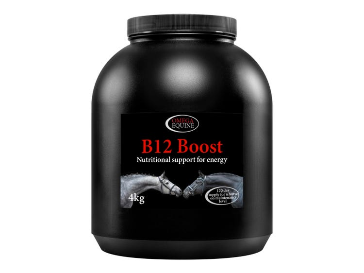 Omega Equine B12 Boost image 2