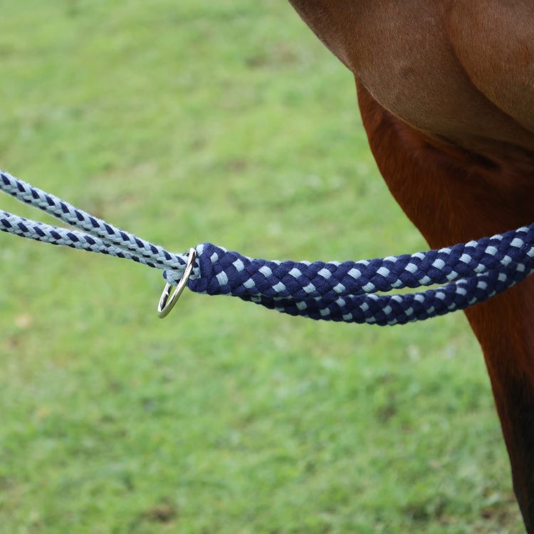 Hy Equestrian Lunging Aid image 2