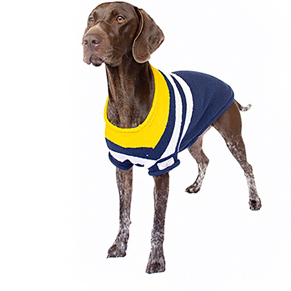 Joules Coastal Jumper image 1