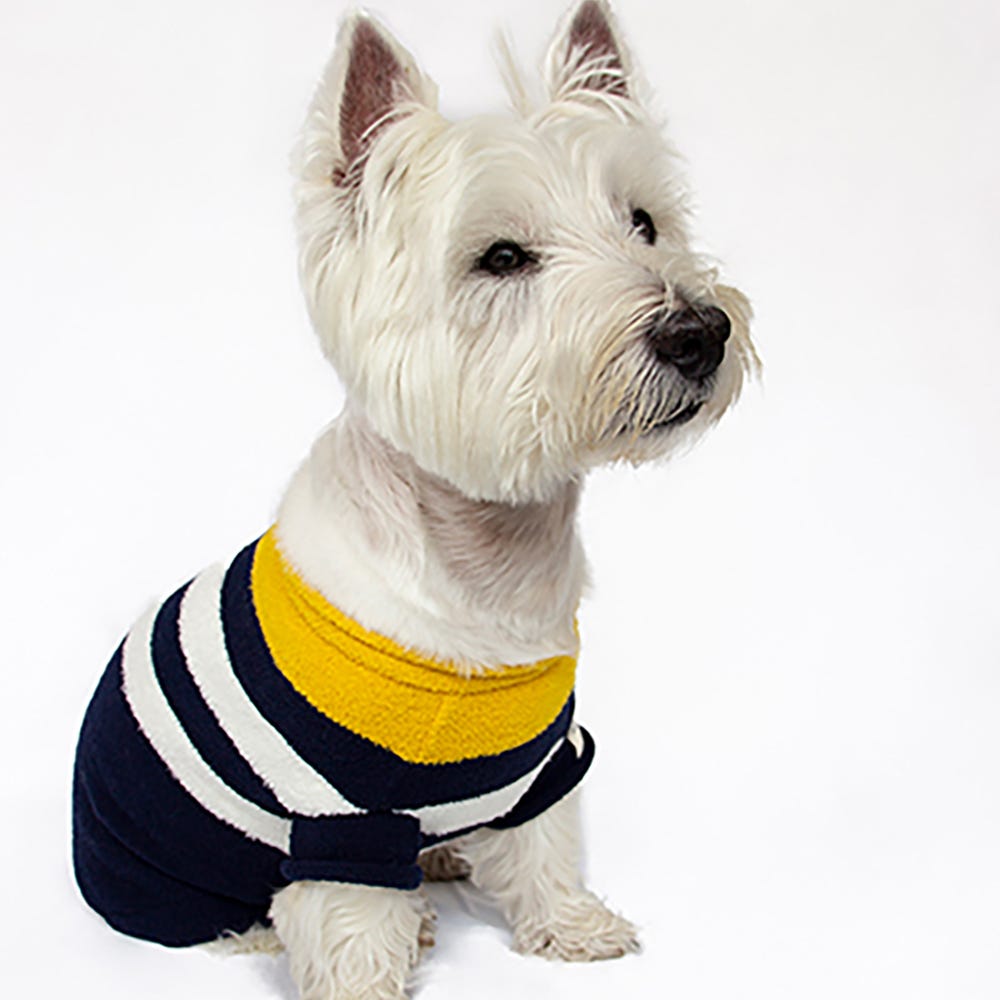 Joules Coastal Jumper image 2