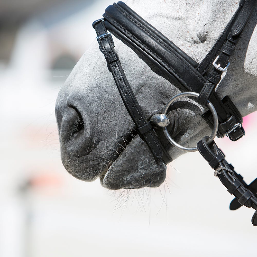 Kieffer Ultrasoft Economy Snaffle Bridle image 3