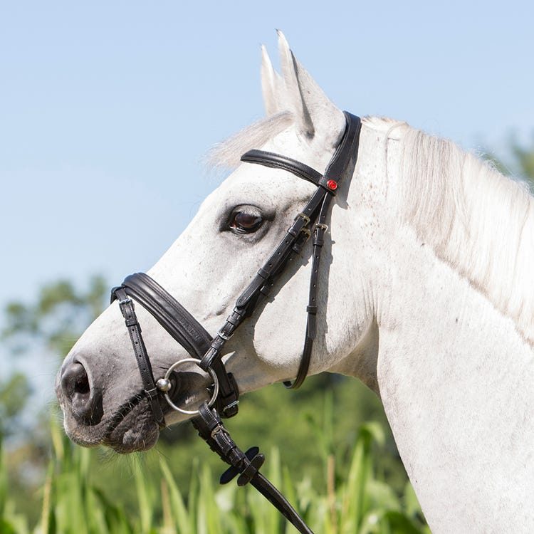 Kieffer Ultrasoft Economy Snaffle Bridle image 2