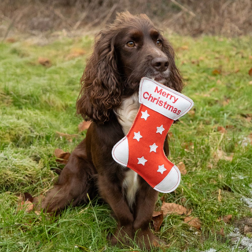 Benji &amp; Flo Christmas Dog Toys - Christmas Stocking  image 2