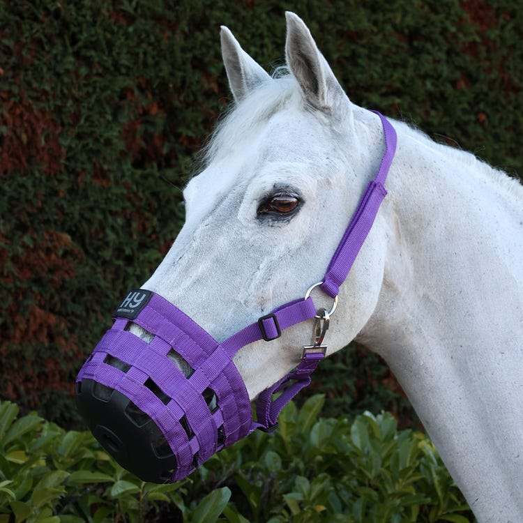 Hy Equestrian Muzzle image 4