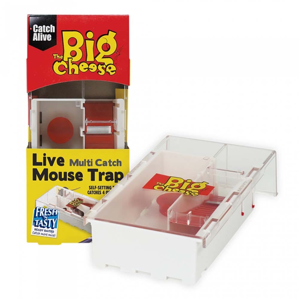 STV Multi-Catch Mouse Trap Large (STV177) image 1