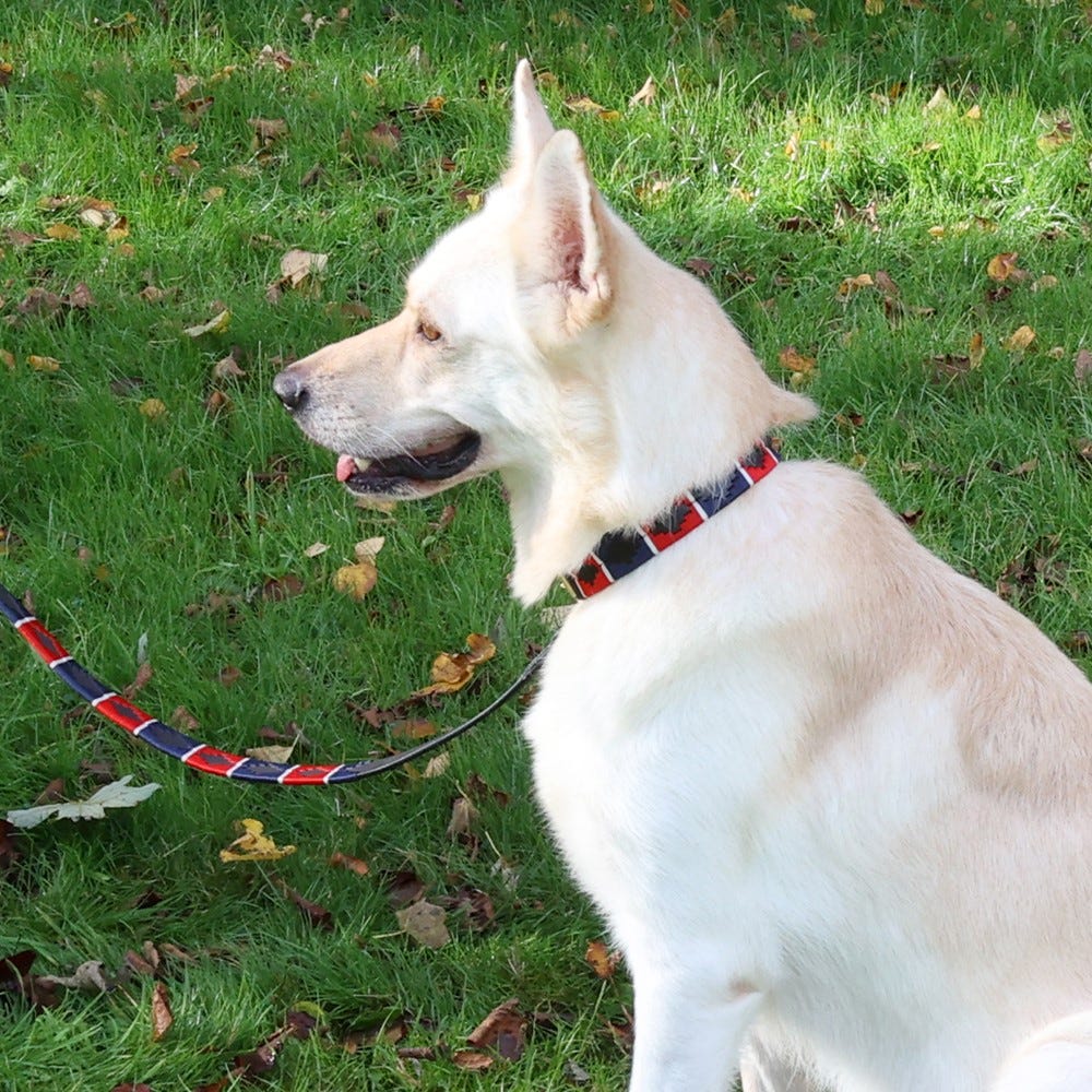 Benji &amp; Flo Sublime Polo Leather Dog Lead image 3