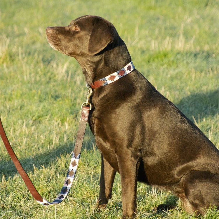 Benji &amp; Flo Sublime Polo Leather Dog Lead image 6