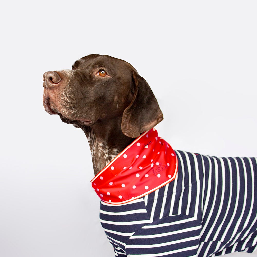 Joules Harbour Top &amp; Neckerchief Set image 13