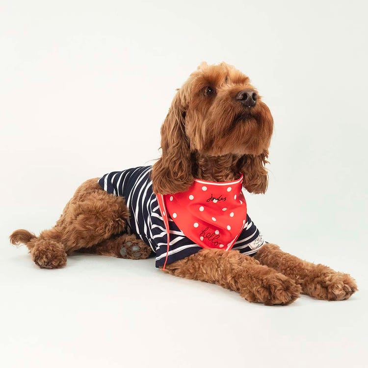 Joules Harbour Top &amp; Neckerchief Set image 14