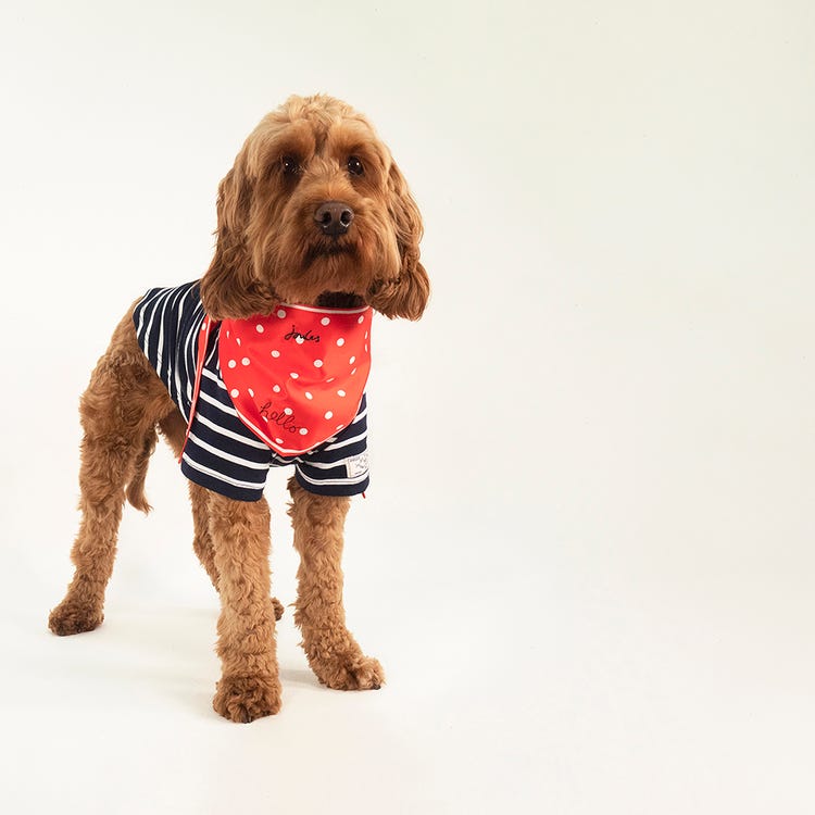 Joules Harbour Top &amp; Neckerchief Set image 15