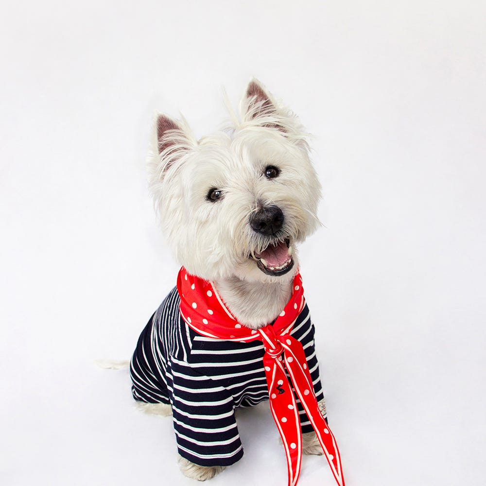 Joules Harbour Top &amp; Neckerchief Set image 17