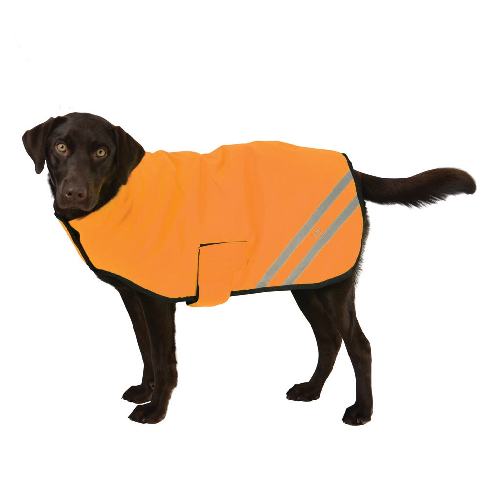 Benji &amp; Flo Reflector Waterproof Dog Coat by Hy Equestrian image 2