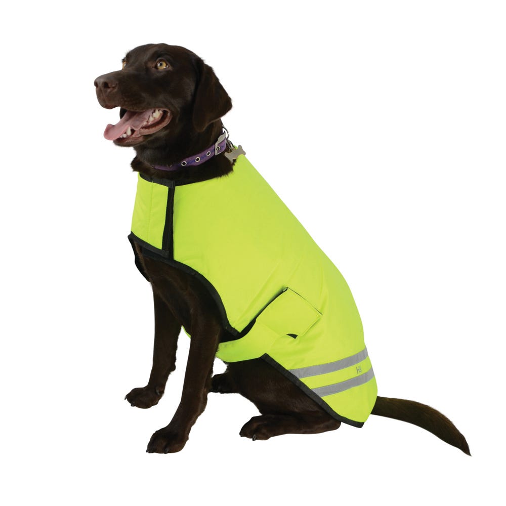 Benji &amp; Flo Reflector Waterproof Dog Coat by Hy Equestrian image 3