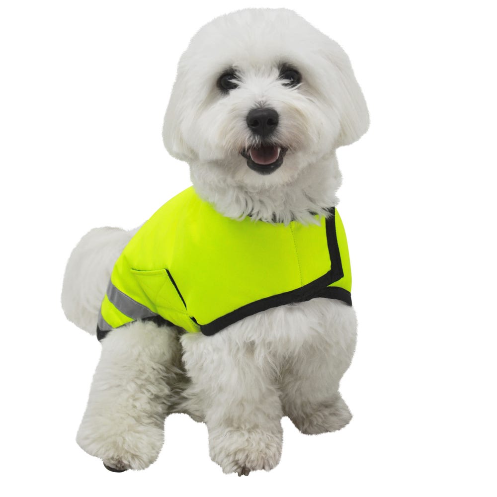 Benji &amp; Flo Reflector Waterproof Dog Coat by Hy Equestrian image 4