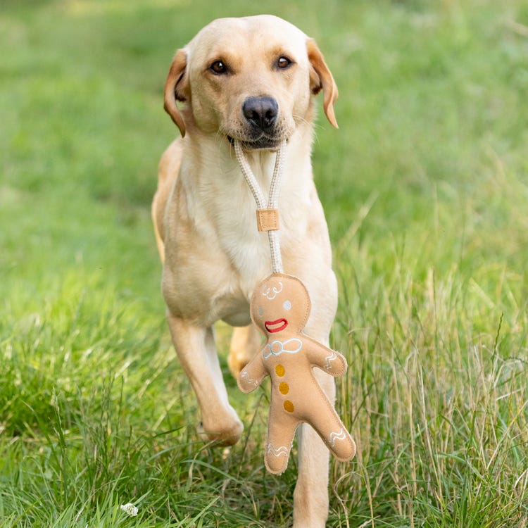 Benji &amp; Flo Christmas Dog Toys - Gingerbread Man image 2