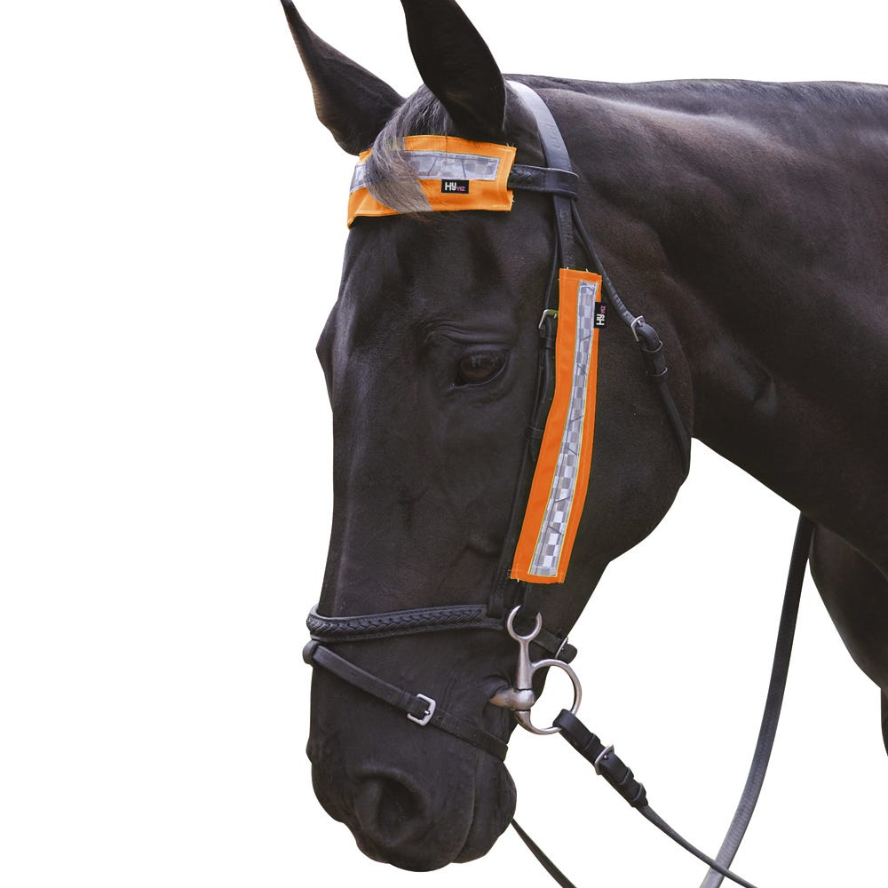 HyVIZ Bridle Set by Hy Equestrian image 1