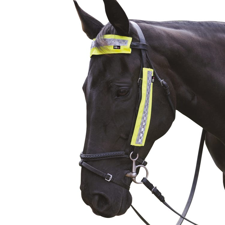 HyVIZ Bridle Set by Hy Equestrian image 2