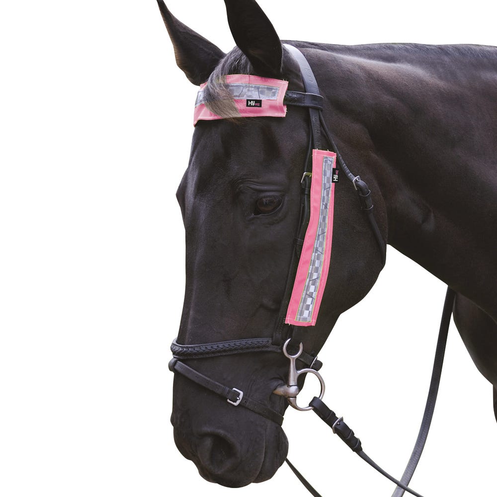 HyVIZ Bridle Set by Hy Equestrian image 3