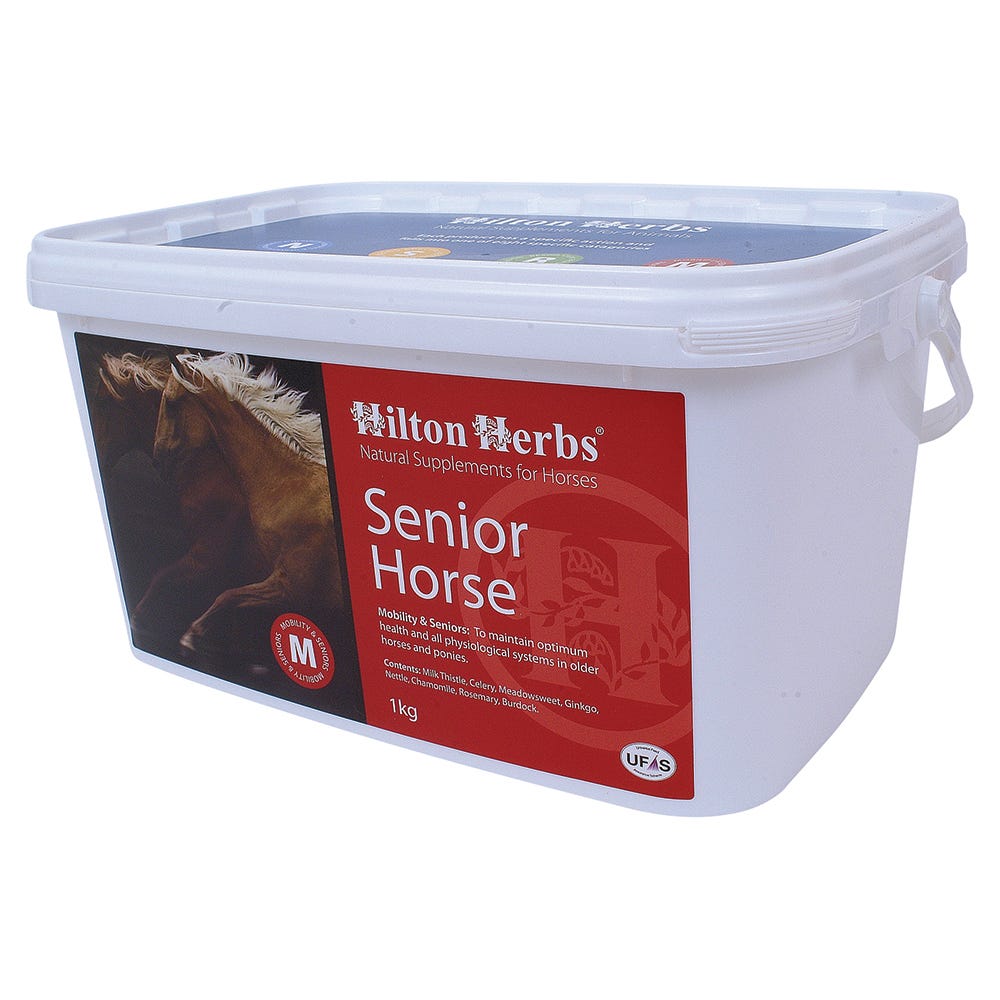 Hilton Herbs Senior Horse image 1