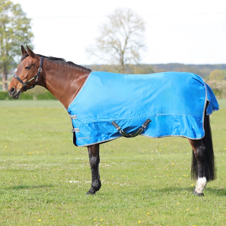 StormX Empra 0 Turnout Rug image 1