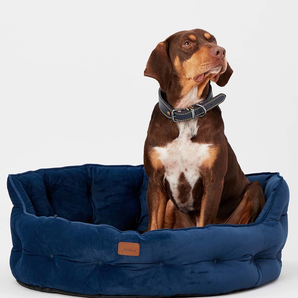 Joules Chesterfield Pet Bed image 19