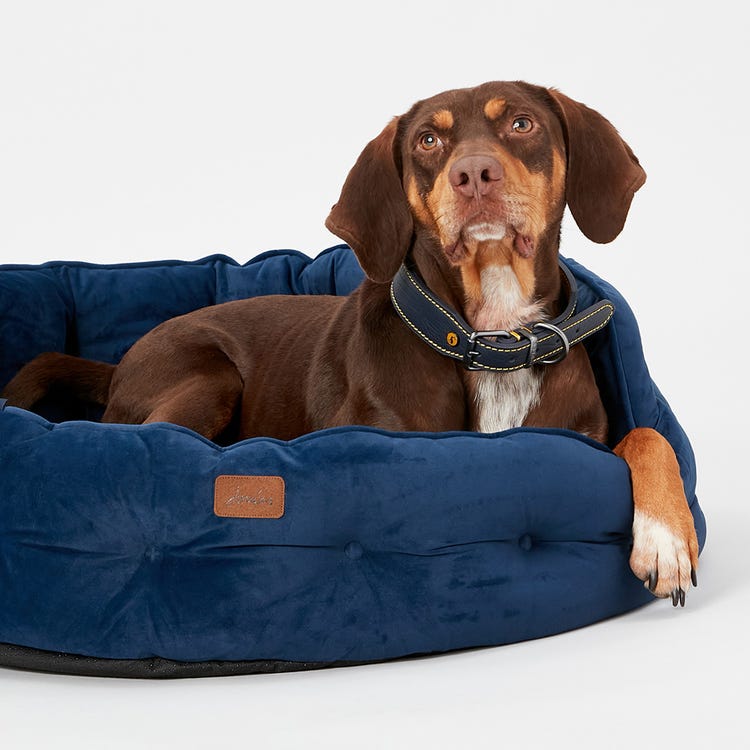 Joules Chesterfield Pet Bed image 20