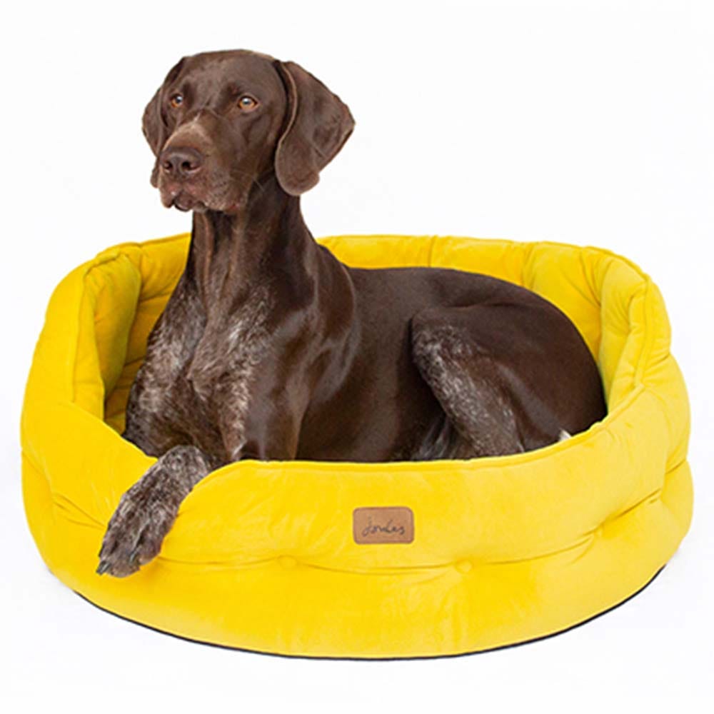 Joules Chesterfield Pet Bed image 25