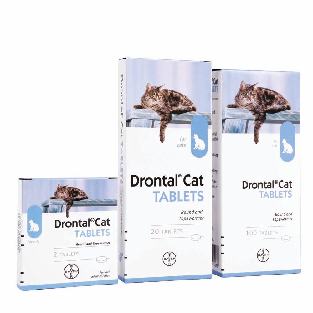 Drontal Cat Ellipsoid Tablet image 1