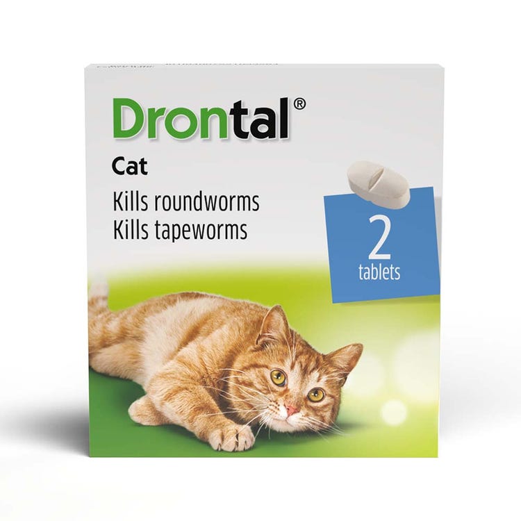 Drontal Cat Ellipsoid Tablet image 2