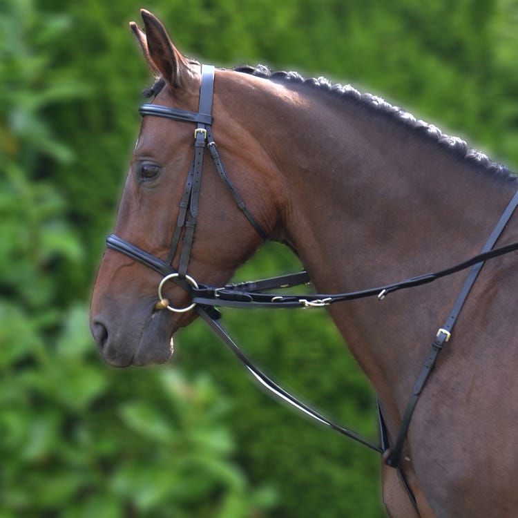 Hy Equestrian Market Harborough image 1