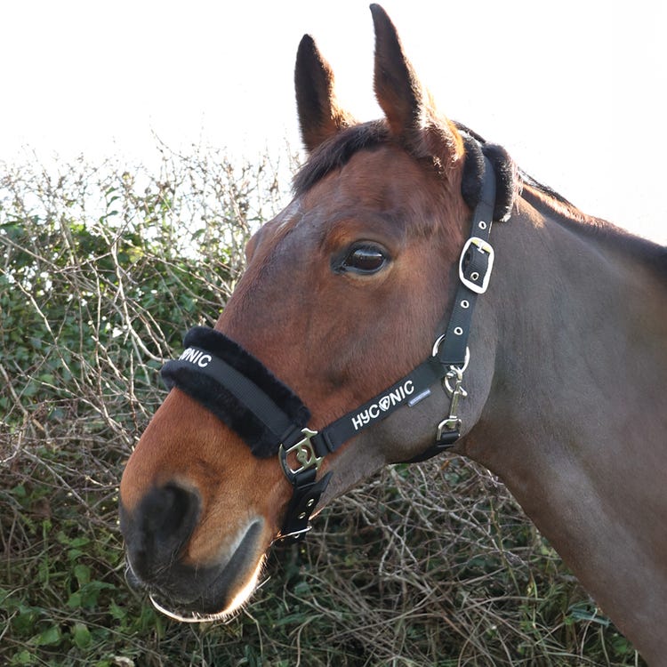 HyCONIC Faux Fur Head Collar &amp; Lead Rope image 7