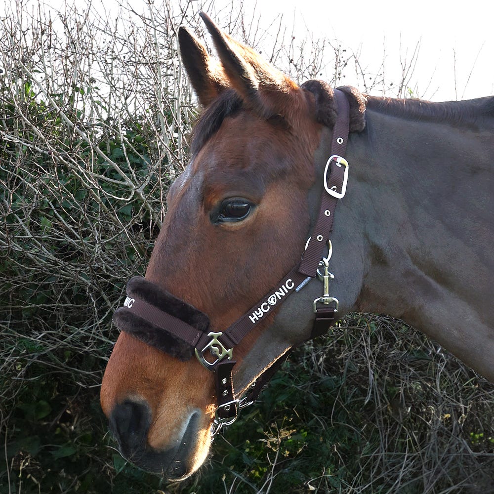 HyCONIC Faux Fur Head Collar &amp; Lead Rope image 8