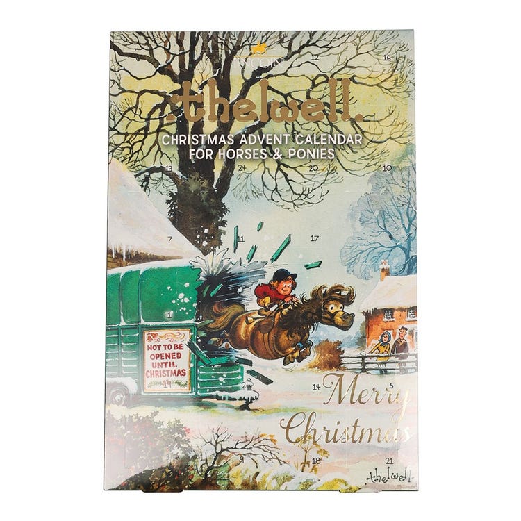 Thelwell Christmas Advent Calendar Pack of 6 image 1