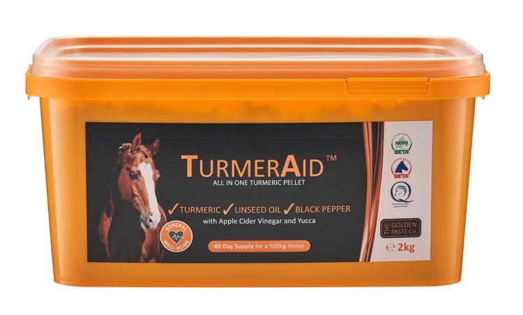 TurmerAid image 1