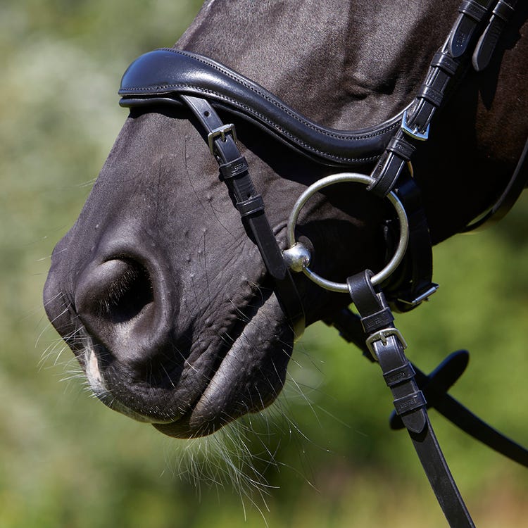 Kieffer Viola Snaffle Bridle image 10