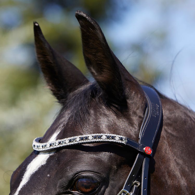 Kieffer Viola Snaffle Bridle image 11