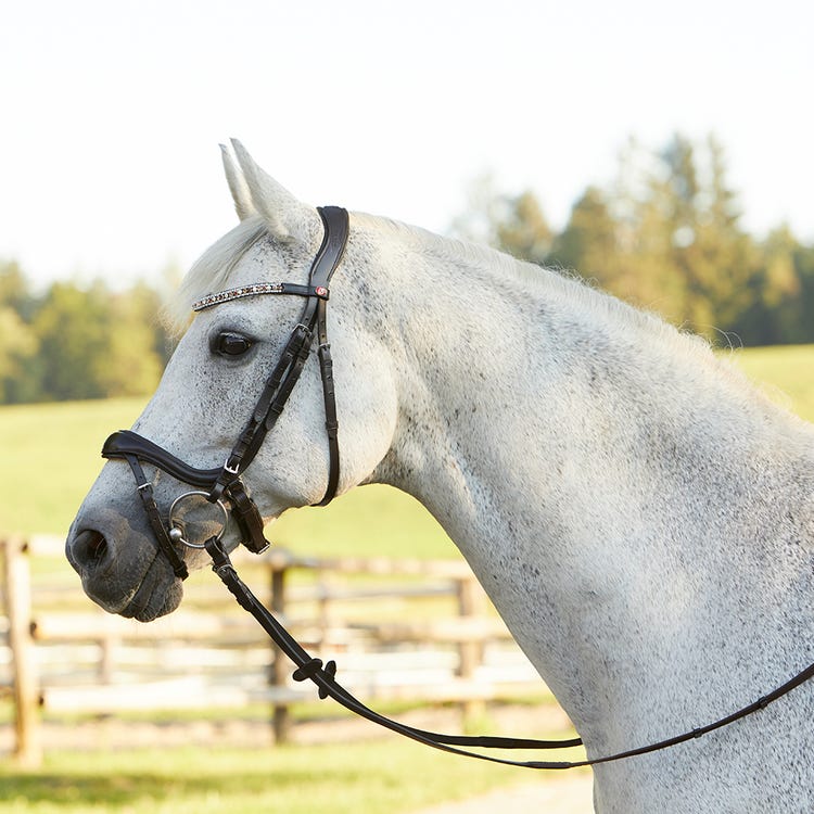 Kieffer Viola Snaffle Bridle image 12