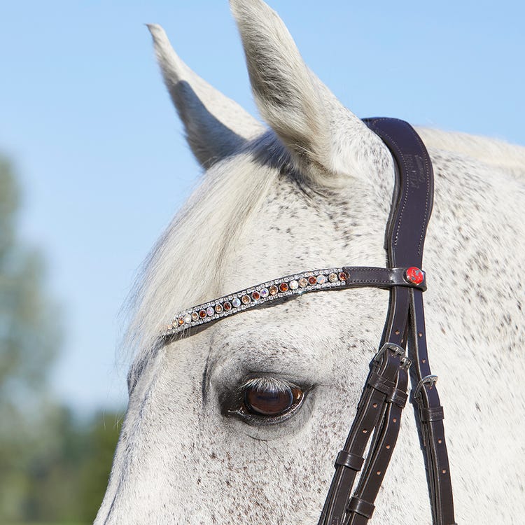 Kieffer Viola Snaffle Bridle image 14