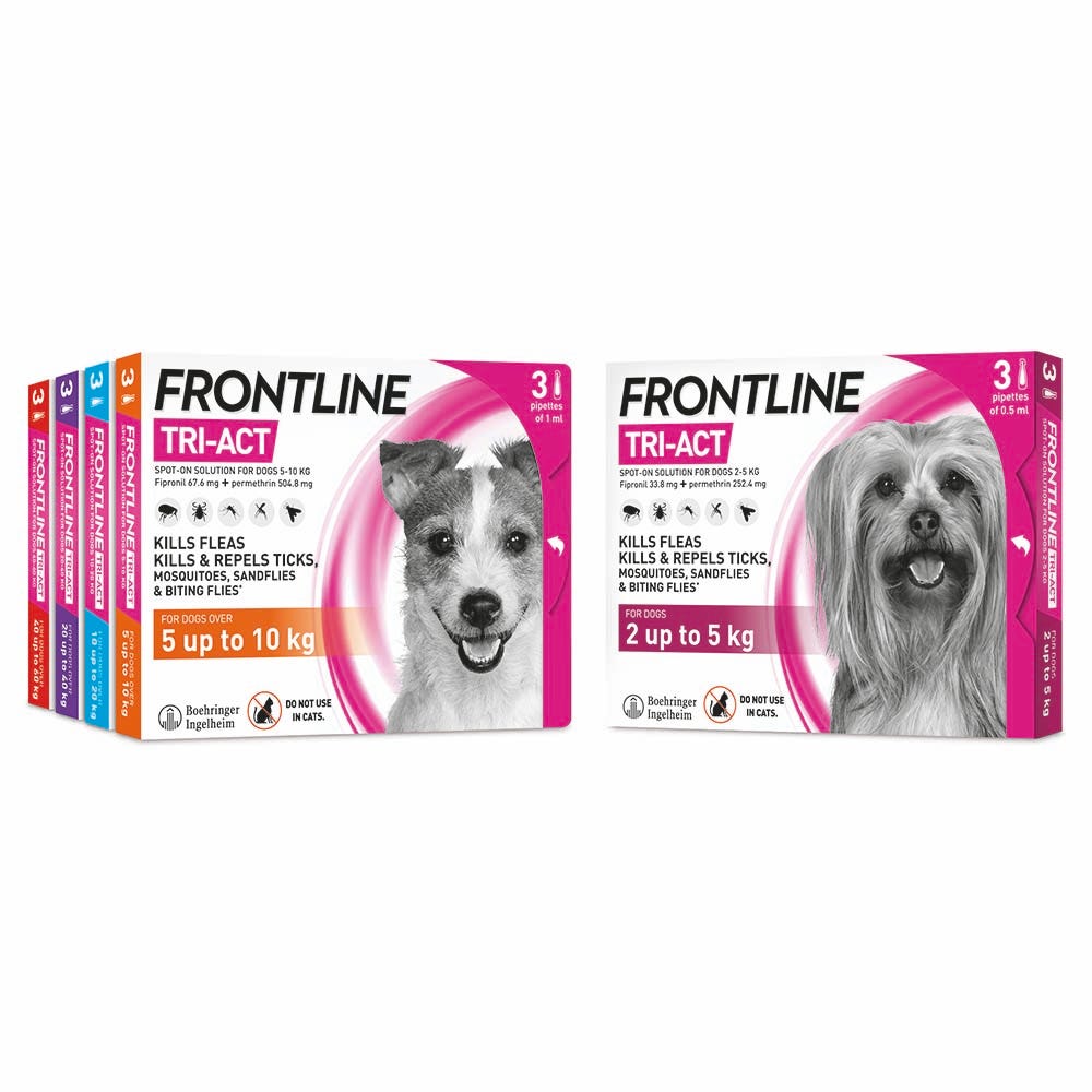 Frontline Tri-Act - Extra Small Dog image 2