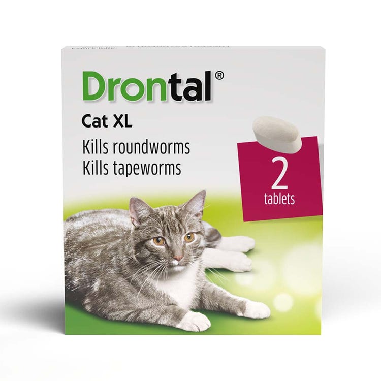 Drontal Cat Ellipsoid Tablet XL image 2