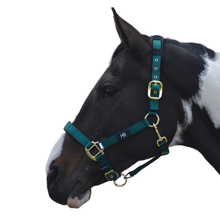 Hy Equestrian Deluxe Padded Head Collar image 1