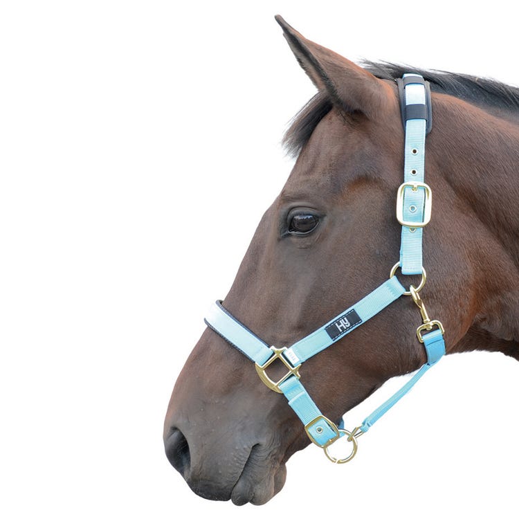 Hy Equestrian Deluxe Padded Head Collar image 2